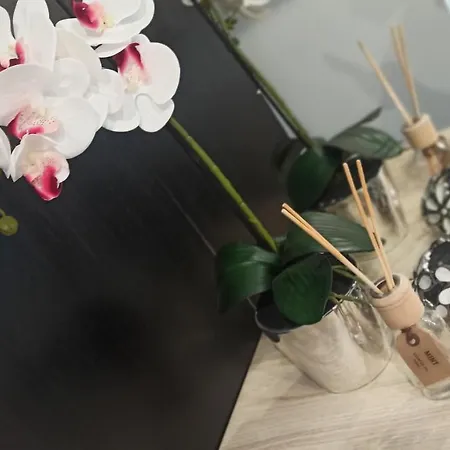 View Tolstoja - Klimatyzacja